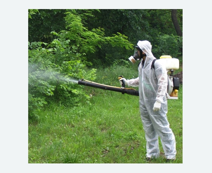 обработка территории от клещей в Бердске