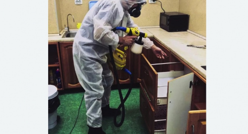 Уничтожение насекомых в квартире. Бердск