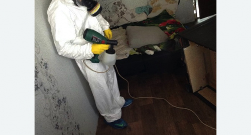 Обработка квартир от насекомых в Бердске