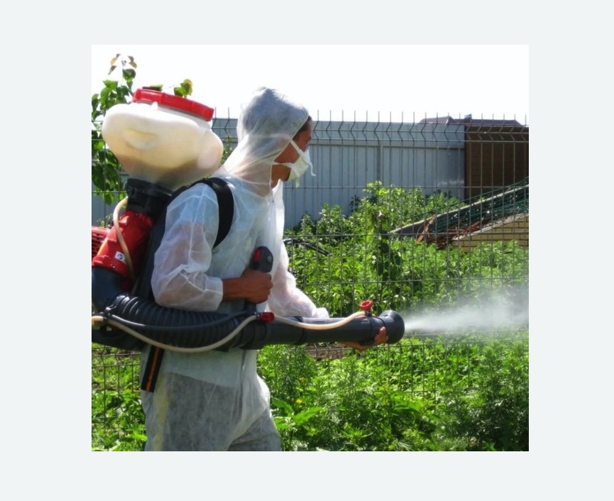 Акарицидная обработка территории в Бердске