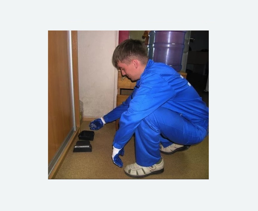 Дератизация крыс в Бердске