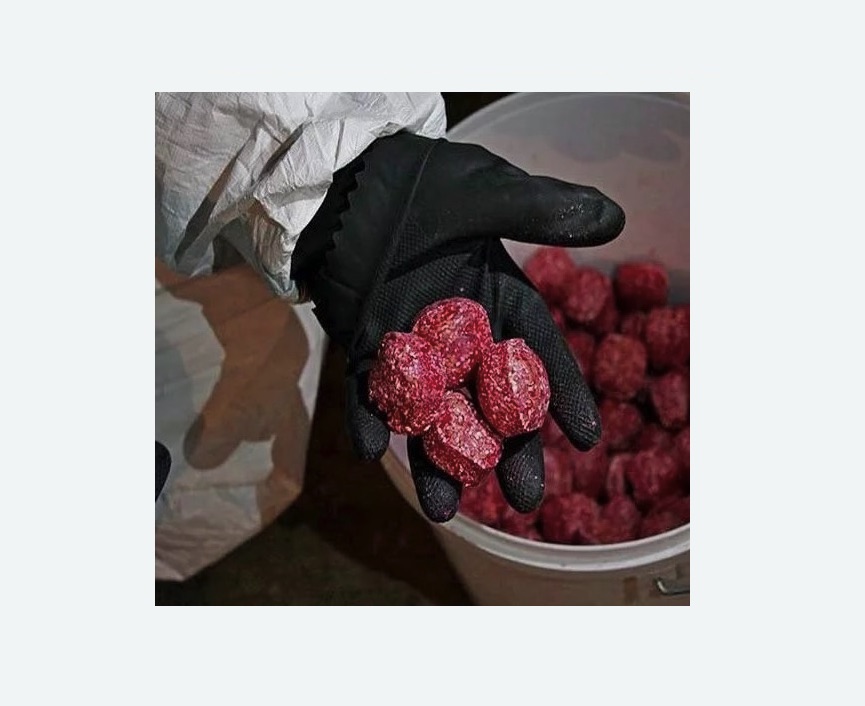 Обработка от крыс в Бердске