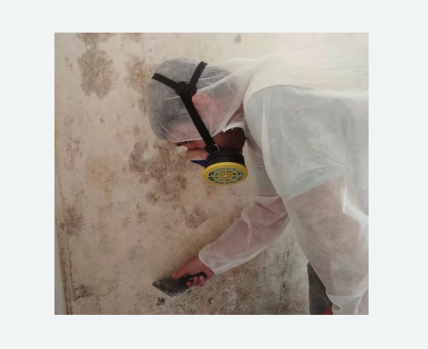 Обработка стен от плесени в Бердске