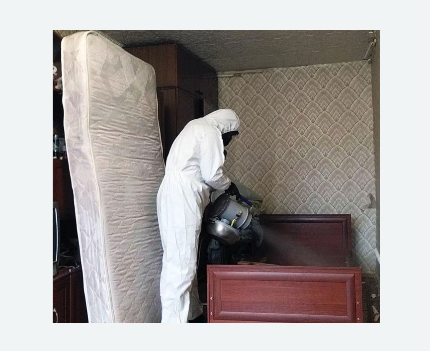 дезинфекция от клопов в Бердске