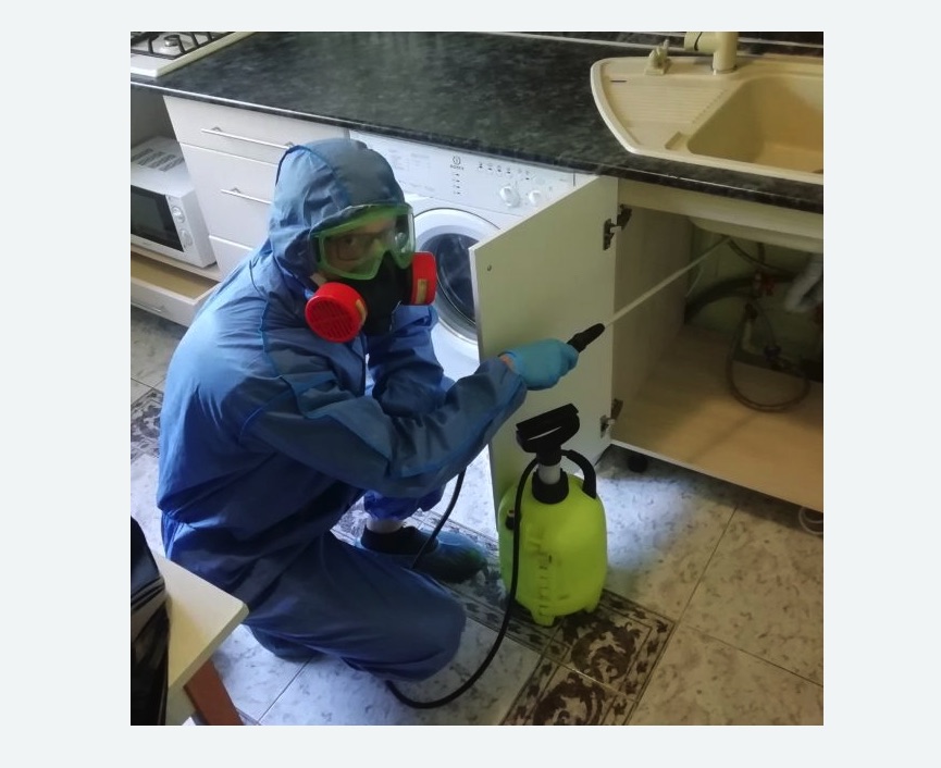 обработка от муравьев в квартире в Бердске