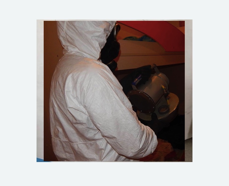 Дезинфекция от муравьев в Бердске