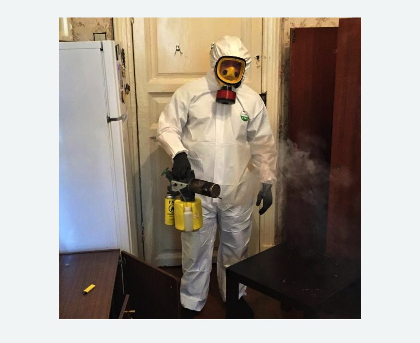 уничтожение муравьев в квартире в Бердске